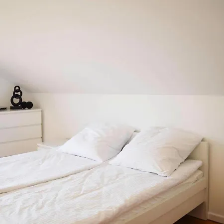 Attractive In With Fireplace And Garden 4*